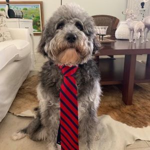 Meet your Posher, Jacobo